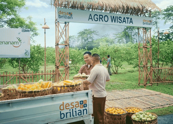 Program CSR BRI  Raih Pengakuan Global Lewat Dua Penghargaan Internasional