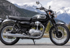 Harga Kawasaki W800 Agustus 2026 Tembus Rp322 Juta, Ini Detail Mesin dan Fiturnya