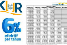 KUR Mandiri Tanpa Agunan November 2025: Modal Ringan, Proses Cepat untuk UMKM