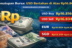 Dolar Sentuh Rp16.834! Penutupan Bursa Hari Ini Bikin Deg-Degan, Rupiah Tertekan atau Masih Terkendali?