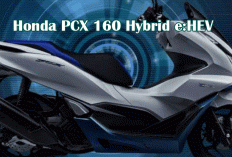 Honda PCX 160 Hybrid e:HEV: Skutik Sultan yang Iritnya Bikin Dompet Senyum