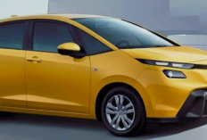 Honda Jazz 2026 Makin Segar! Hatchback Legendaris Kini Lebih Sporty, Canggih, dan Hadir Varian Hybrid Hemat BB