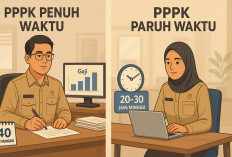 Perbedaan Gaji PPPK Paruh Waktu dan Penuh Waktu 2026: Jam Kerja hingga Tunjangan