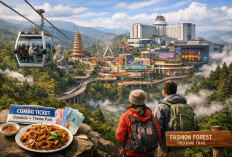 Pesona Batu Caves: Tips Lengkap Jelajahi Ikon Religi dengan 272 Tangga Warna-Warni