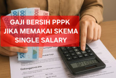 Gaji Bersih PPPK Jika Memakai Skema Single Salary