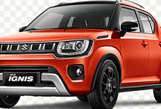 Suzuki Ignis 2025: City Car Imut yang Jadi Favorit Wanita Karir & Pelajar Urban