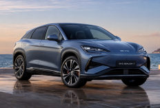 BYD Sealion 7, SUV Listrik Futuristik dengan Tenaga hingga 390 kW
