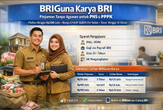 Tabel Pinjaman Tanpa Agunan BRI Bagi PNS dan PPPK 2026