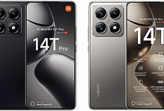 Mulai Konten dengan HP Android? 3 Pilihan yang Sudah Saya Pakai dan Kenapa Worth It