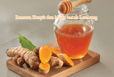 Ramuan Kunyit dan Madu untuk Lambung: Cara Alami Redakan Asam Lambung, Perut Kembung, dan Mual Secara Aman