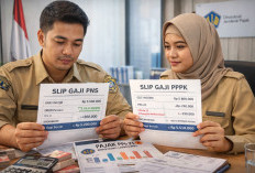 Perbedaan Besaran Gaji PNS dan PPPK Setelah Dipotong Pajak, Ini Hitungan Riilnya