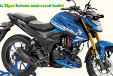 Honda Tiger Reborn 2026: Bukan Sekadar Nostalgia, Ini Jawara Baru Lintas Provinsi Palembang!