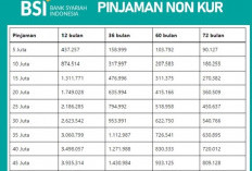 Simulasi Angsuran dan Syarat Pinjaman Non KUR BSI Plafon Rp50 Juta Tahun 2025