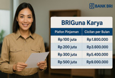 Pinjaman Bank BRI Tanpa Agunan untuk PNS dan PPPK: Plafon hingga Rp500 Juta