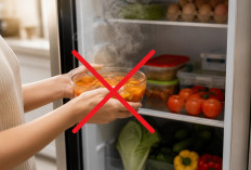 Makanan Panas Langsung Masuk Kulkas? Ternyata Ada Dampaknya