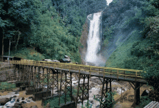 Menikmati Keindahan Alam Air Terjun Bedegung, Permata Tersembunyi Sumatera Selatan