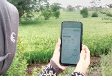 Deposito Bank Digital: Aman, Tapi Tetap Ada Risiko yang Harus Dipahami