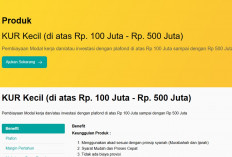 Cara Dapat KUR Syariah BSI 200 Juta: Syarat, Simulasi Angsuran, dan Tips Lolos