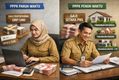 Perbedaan Gaji Pokok dan Tunjangan PPPK Paruh Waktu dan Penuh Waktu