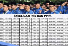 Tabel Gaji PNS dan PPPK 2026