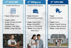 Perbandingan KUR vs BRIguna vs KPR BRI, Tabel Lengkap & Mana Paling Untung?