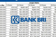 Pinjaman BRI Tanpa Agunan Dibuka Desember 2025 Bagi PNS dan PPPK: Non KUR, Cek Plafon dan Suku Bunganya