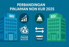 Perbandingan Pinjaman Non KUR BRI dan BSI Tahun 2025: Mana yang Lebih Menguntungkan?