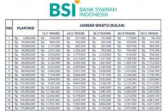 Simulasi Pinjaman BSI Rp 50 Juta: KUR Mikro dan Mitraguna untuk Pegawai