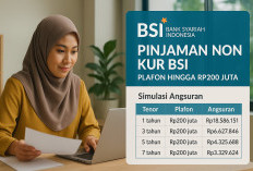 BSI Tawarkan Pinjaman Non KUR hingga Rp200 Juta: Modal Halal untuk UMKM di 2025