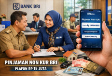 Pinjaman Non KUR BRI Rp15 Juta, Opsi Kredit Fleksibel di Luar Skema Subsidi
