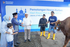 Wujud Kepedulian Sosial, BRI Group Distribusikan 5.000 Hewan Kurban ke Berbagai Daerah