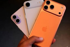 Jelang Kehadiran iPhone 18, Banderol Seri Pendahulu di iBox Justru Bergerak Naik
