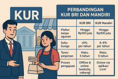 KUR BRI vs KUR Mandiri Tanpa Agunan: Siapa yang Lebih Untung untuk UMKM di 2025?