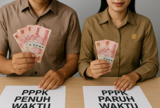 Perbandingan Gaji PPPK Penuh Waktu vs Paruh Waktu: Siapa yang Lebih Untung di 2025?