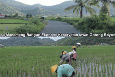 Hebat! Desa Manemeng Bangun Ekonomi Kerakyatan lewat Gotong Royong, Program Desa BRILiaN Jadi Penggerak Utama