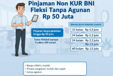 BNI Beri Pinjaman Rp 50 Juta Tanpa Jaminan, Ini Simulasi Cicilannya