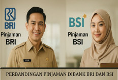 Perbandingan Pinjaman BRI vs BSI untuk PNS dan PPPK: Mana yang Lebih Menguntungkan?