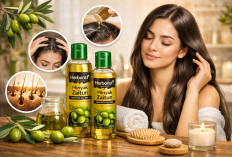 Cara Menggunakan Minyak Zaitun Herborist untuk Rambut yang Lebih Halus dan Wangi