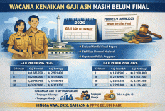 Gaji ASN 2026 Dipastikan Belum Naik, Ini Rincian Lengkap Gaji PNS dan PPPK yang Berlaku Sekarang