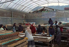 Dari Limbah Jadi Cuan: Nasabah PNM Mekaar Bandung Barat Sukses Kembangkan Usaha Kascing