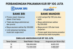 Perbandingan Pinjaman KUR Rp 100 Juta: Bank BRI vs Bank Mandiri