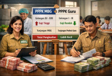Perbandingan Gaji PPPK MBG vs PPPK Guru: Skema Sama, Golongan Beda, Penghasilan Jauh Berbeda