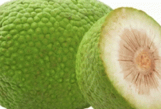 9 Manfaat Buah Sukun yang Mungkin Belum Kamu Ketahui, Tapi Wajib Coba untuk Hidup Sehat!