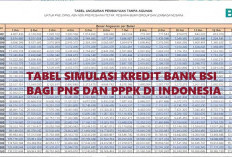 Pinjaman BSI vs Bank Mandiri untuk PNS dan PPPK: Mana yang Lebih Menguntungkan?