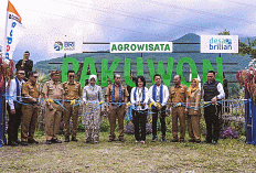 Desa Pajambon Melejit! Dari Jambu Merah hingga Agrowisata, Sukses Jadi Desa BRILiaN 2026