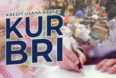 KUR BRI 2025: Pinjaman Hingga Rp50 Juta Tanpa Agunan, Bunga Tetap 6 Persen