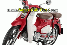 Honda Super Cub C125 2026: Motor Klasik Rasa Sultan, Irit BBM tapi Gengsi Maksimal!