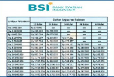 Tabel Simulasi Angsuran KUR BSI Rp 15 Juta: Tenor hingga 60 Bulan