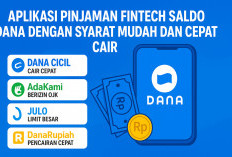 Aplikasi Fintech Pinjaman Saldo DANA dengan Syarat Mudah dan Cepat Cair, Ini Rekomendasinya