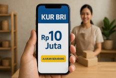 Pinjaman KUR BRI Rp 10 Juta Buat UMKM, Cicilan Enteng Banget